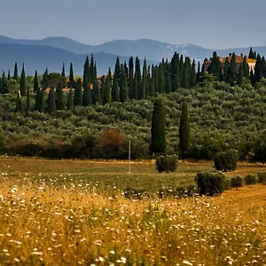 Landhaus Tenuta Di Poggio Cavallo Istia dʼOmbrone